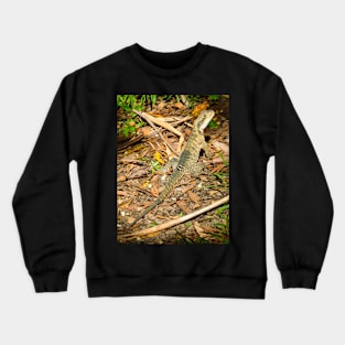 Australian Water Dragon Crewneck Sweatshirt